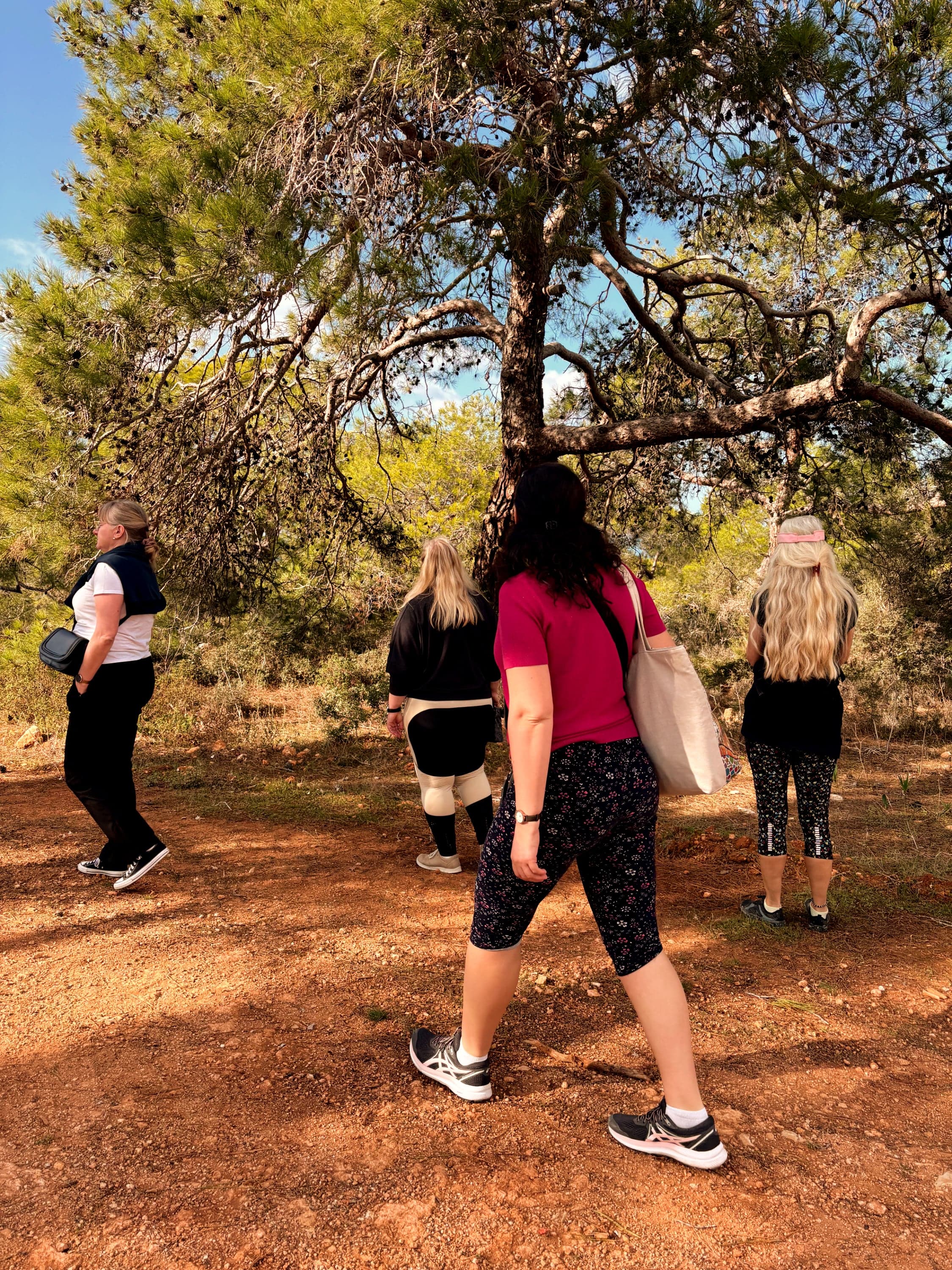 Einblicke in unsere Erasmus-Kurse